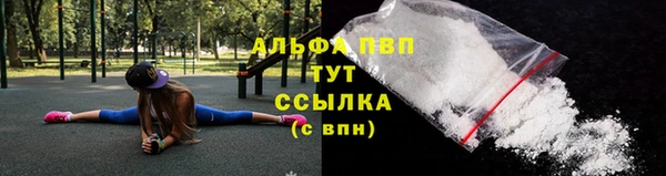 шишки Белокуриха