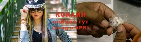 шишки Белокуриха