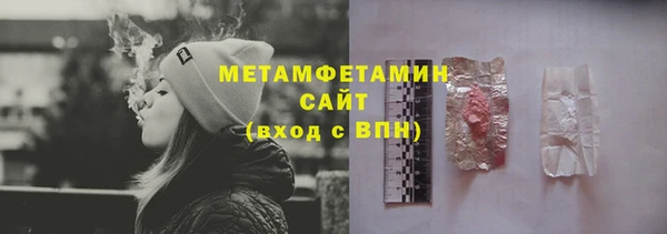 шишки Белокуриха