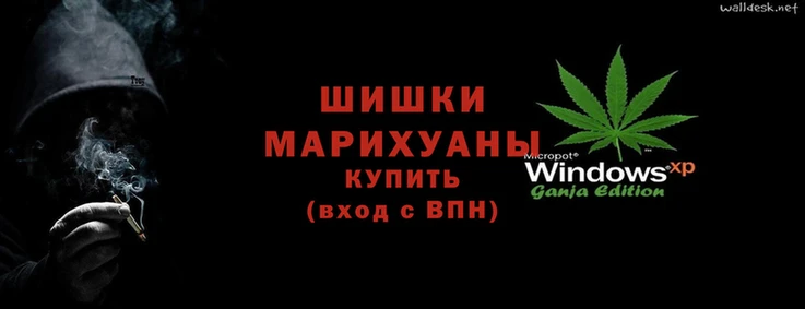 шишки Белокуриха
