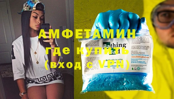шишки Белокуриха