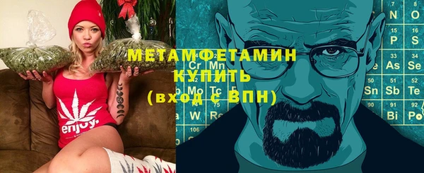 шишки Белокуриха