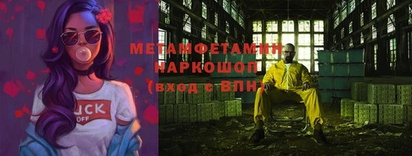 шишки Белокуриха