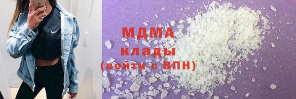 шишки Белокуриха