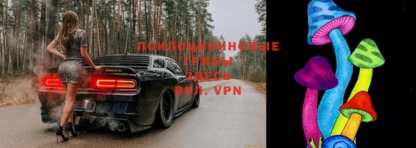 шишки Белокуриха