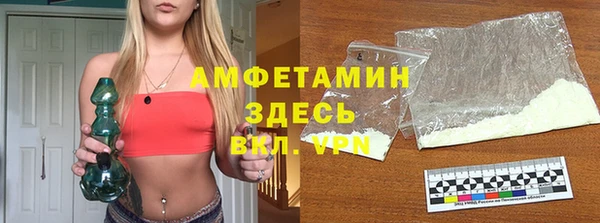 шишки Белокуриха