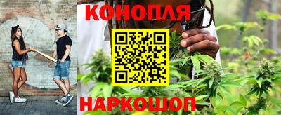 сатива Берёзовский