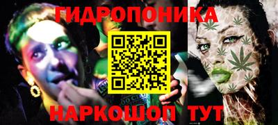 дживик Гатчина