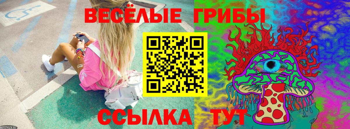 Псилоцибиновые грибы GOLDEN TEACHER  Вход с VPN  Верхняя Пышма 