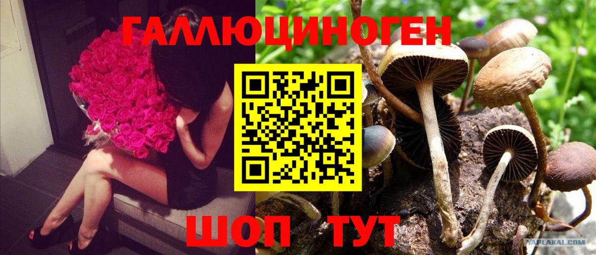 ГАШИШ  Амфетамин   Мефедрон кристаллы  LSD-25  A PVP СК кристаллы  Верхняя Пышма  ГАШ  Бошки Шишки  ЭКСТАЗИ  Вход с VPN 