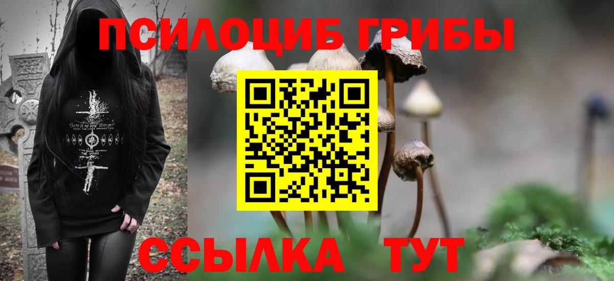 Галлюциногенные грибы GOLDEN TEACHER Верхняя Пышма